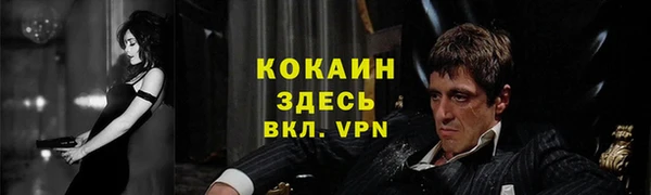 соль ск Заводоуковск