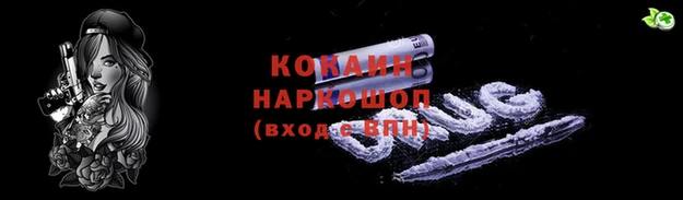 соль ск Заводоуковск