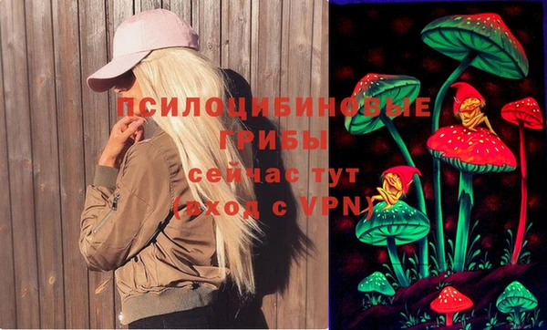 соль ск Заводоуковск