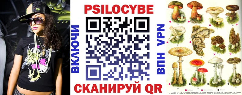 Псилоцибиновые грибы Psilocybe  Купить где  Плавск 